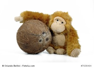 Cocco con Scimmietta b