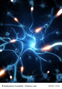 3d rendered illustration - nerve cell